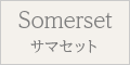form_button_somerset_off